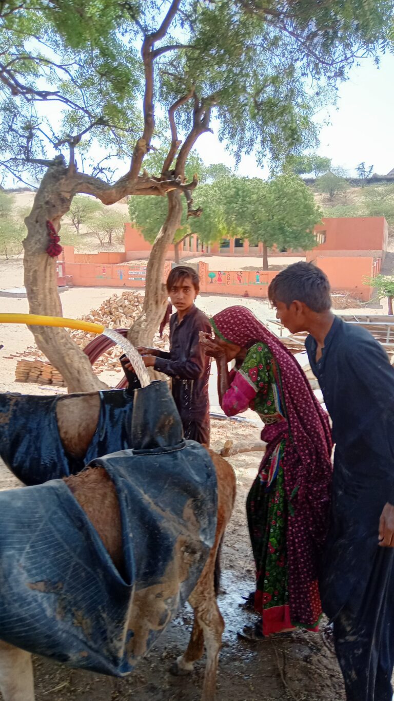 whatsapp image 2025 09 24 at 1.53.52 am