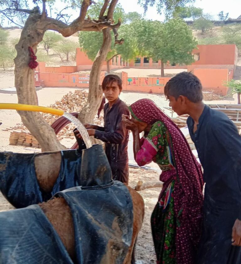 whatsapp image 2025 09 24 at 2.23.02 am(1)