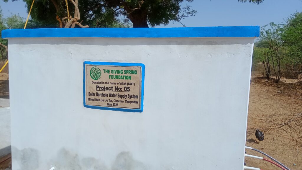 News Five projecrt 5